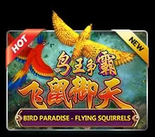 Bird Paradise