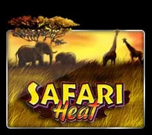 Safari Heat