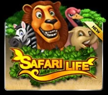 Safari Life