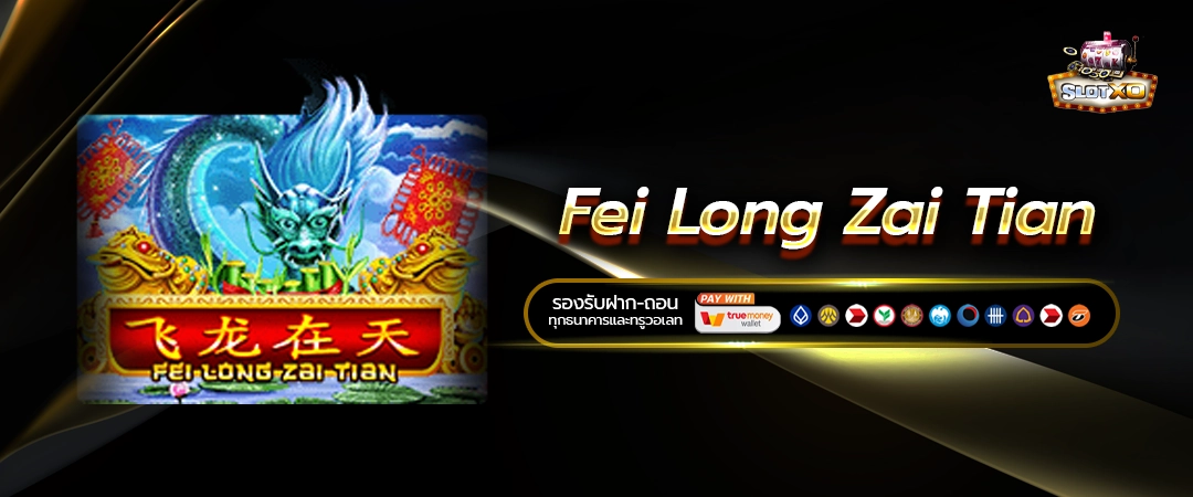 Fei Long Zai Tian